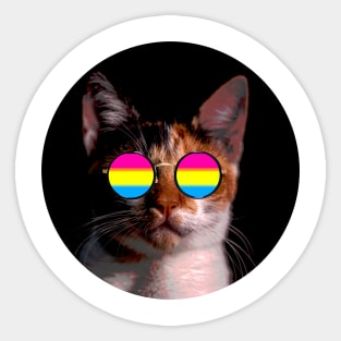 Cute Cat with Glasses Flag Sticker